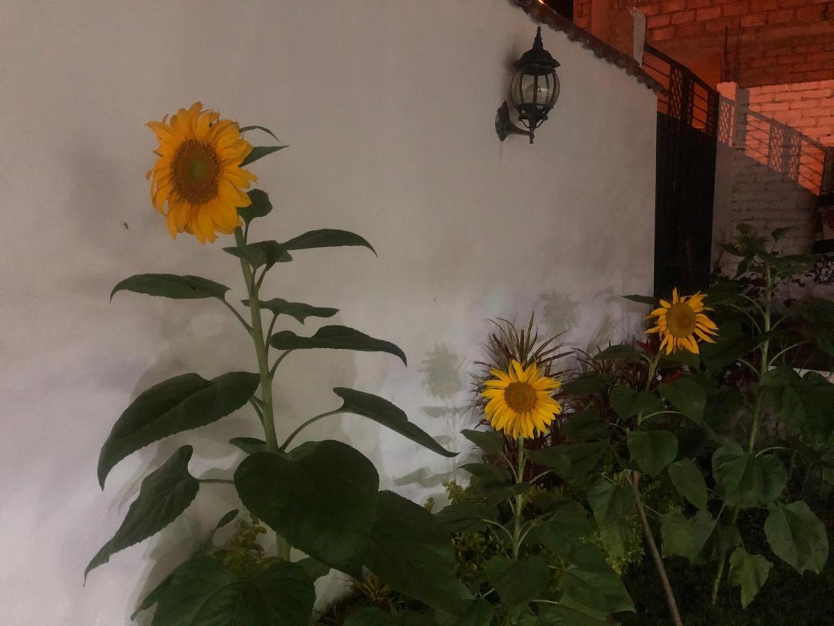 Hostel Las Palmas Vilcabamba Exterior foto